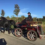 Ferien Im Gutspark Schwarbe Mit Re *