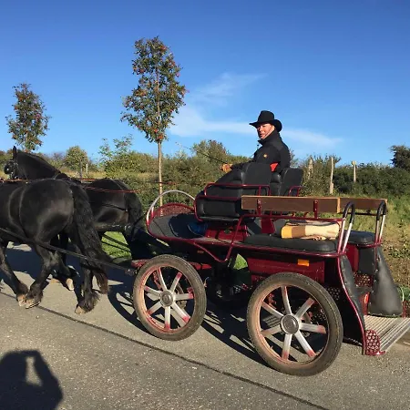 Ferien Im Gutspark Schwarbe Mit Re *
