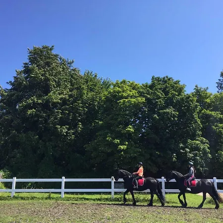 Ferien Im Gutspark Schwarbe Mit Re